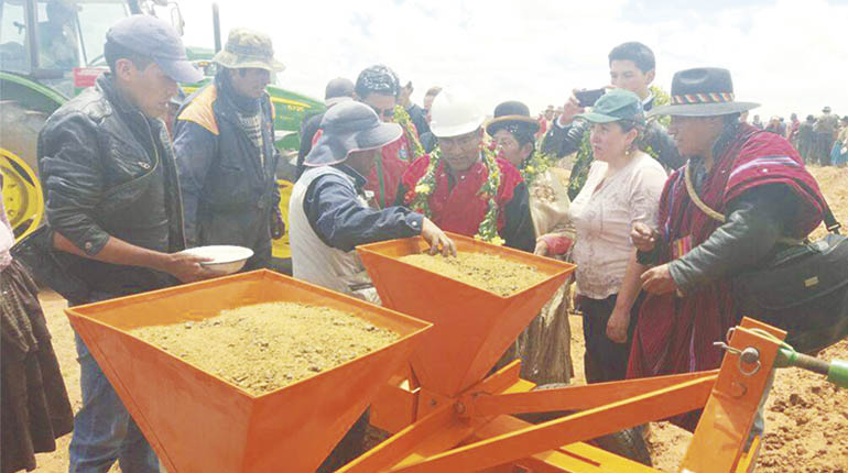 JORNADA CALUROSA La siembra se dio inicio durante una jornada calurosa, cuando el gobernador de La Paz, Félix Patzi, condujo las maquinarias para sembrar las semillas en comunidades de la provincia Gualberto Villarroel. 