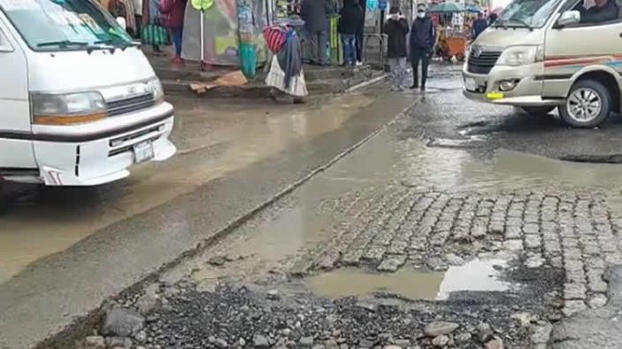 bache