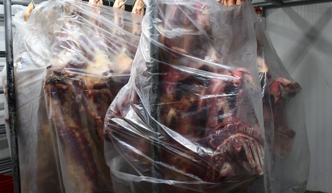 carne