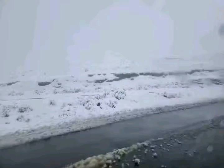 nevada 3