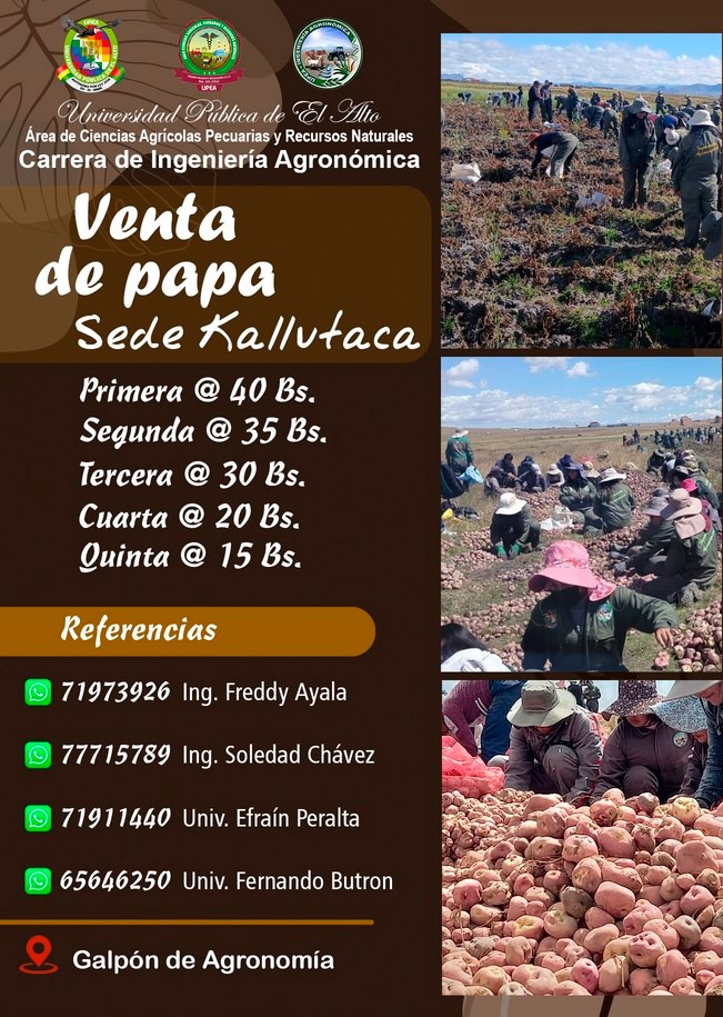 papa