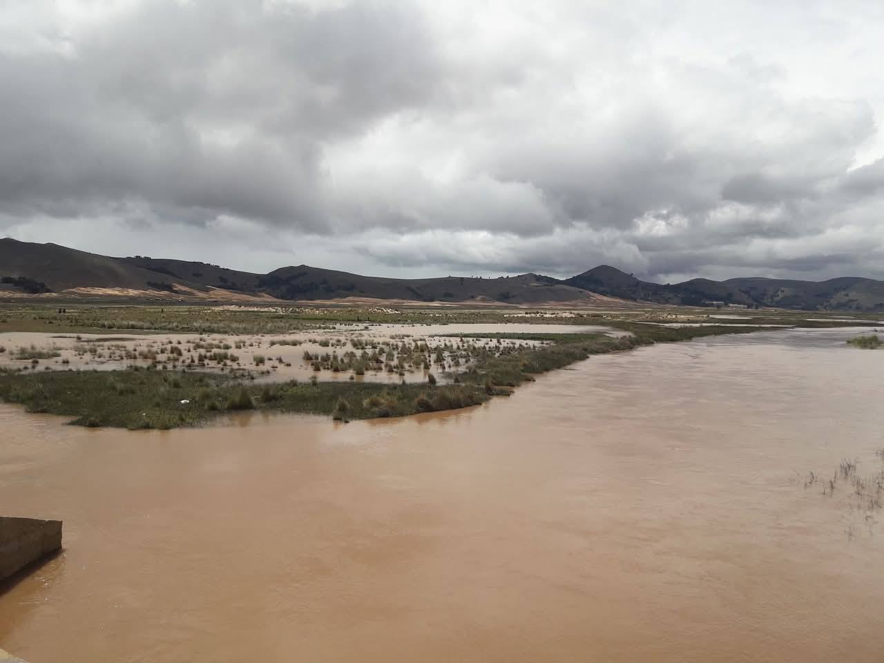 rio 5