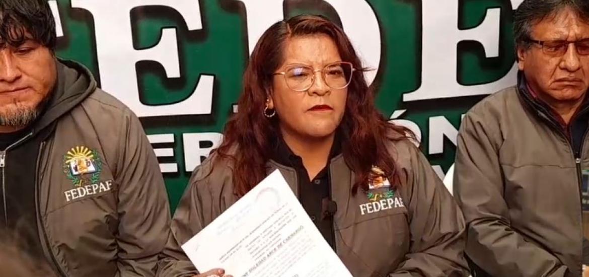 Presidenta de Fedepaf El Alto, Jhenny Arce. Foto: Captura de video.