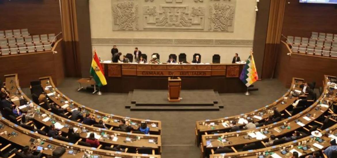 Foto: Cámara de Diputados