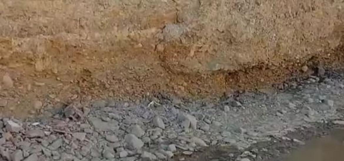 Foto: Captura de video.