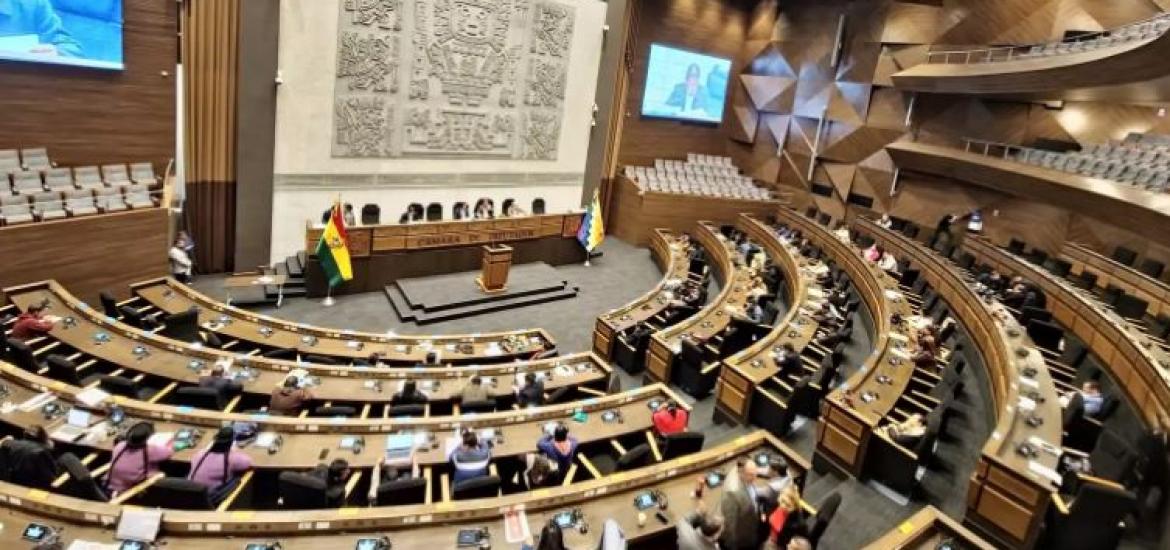 Foto: Cámara de Diputados