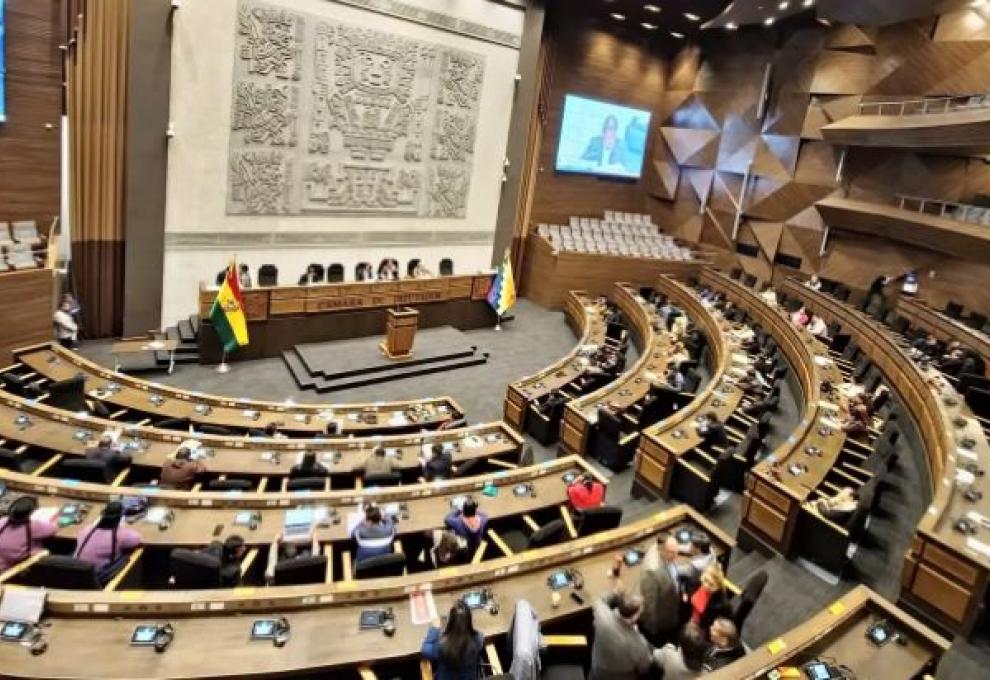 Foto: Cámara de Diputados