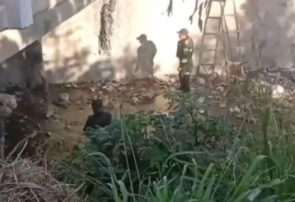 Foto: Captura de video.